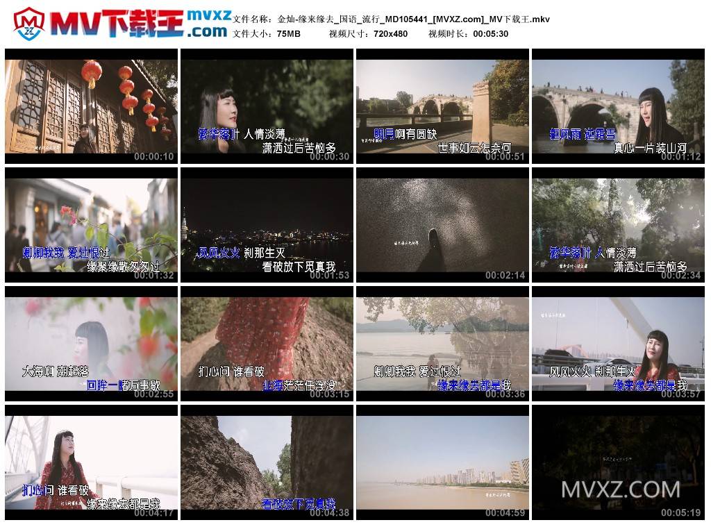 金灿-缘来缘去_国语_流行_MD105441